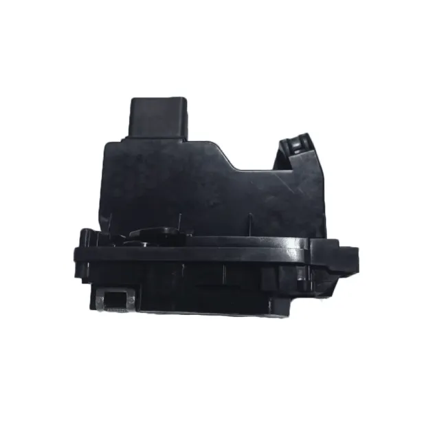 HOWO Door Lock Module